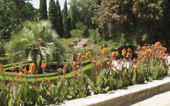 botanical-garden-of-montpellier